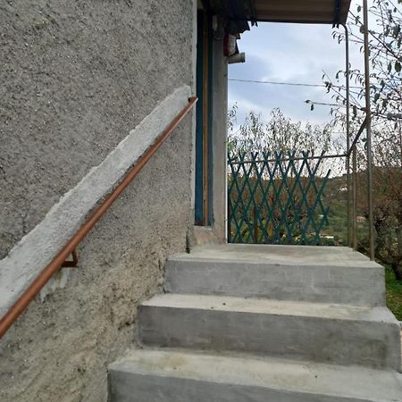 Casa Vita Apartman Vallebona Kültér fotó