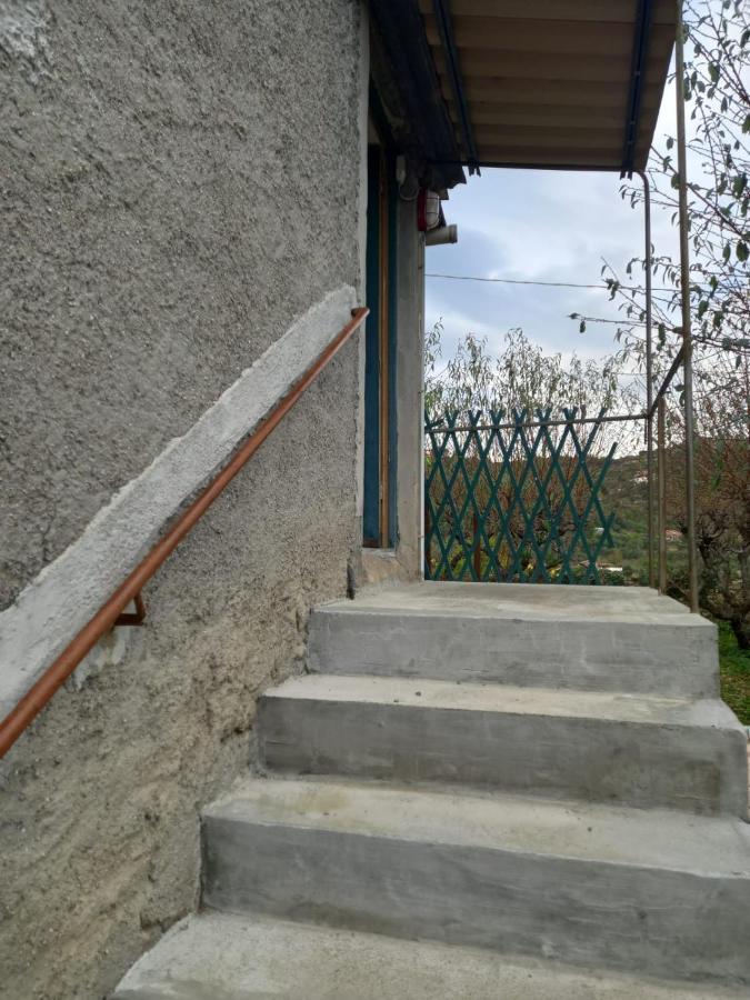Casa Vita Apartman Vallebona Kültér fotó