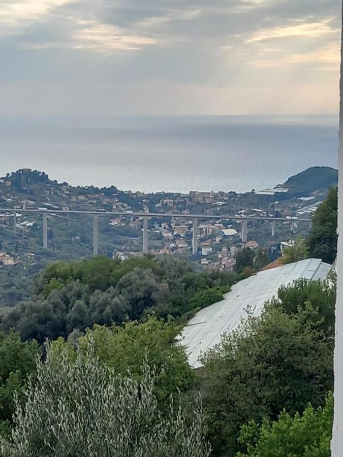 Casa Vita Apartman Vallebona Kültér fotó