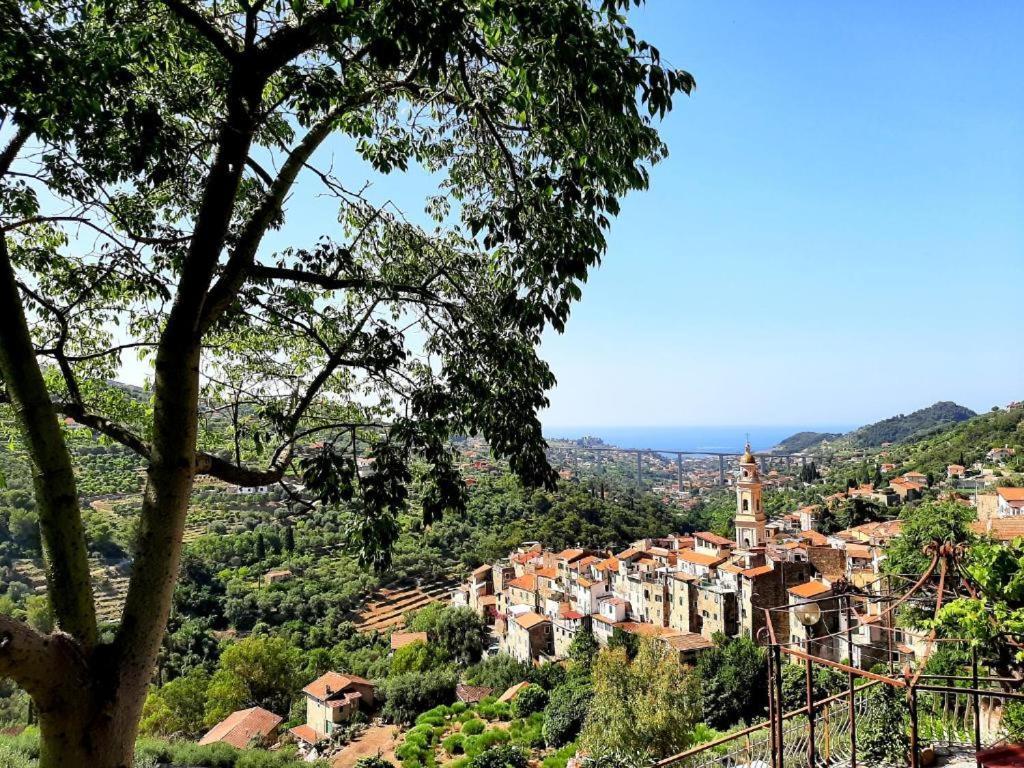 Casa Vita Apartman Vallebona Kültér fotó